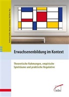 Olaf Dörner, Burkhard Schäffer, Michael Schemman, Michael Schemmann - Erwachsenenbildung im Kontext