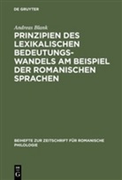 Andreas Blank - Prinzipien des lexikalischen Bedeutungswandels am Beispiel der romanischen Sprachen
