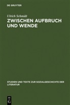 Ulrich Schmidt - Zwischen Aufbruch und Wende