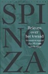 Willem van Blijenbergh, Spinoza, Benedictus de Spinoza - Brieven over het kwaad