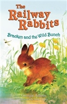 Georgie Adams, Anna Currey, Anna Currey - Bracken and the Wild Bunch