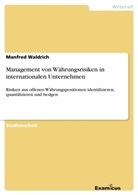 Manfred Waldrich - Management von Währungsrisiken in internationalen Unternehmen