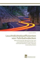 Susanne Köhler - Leuchtdichtekoeffizienten von Fahrbahndecken