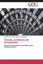 Gelacio Juan Ramón Gutiérrez Ocegueda - Temas Jurídicos de Actualidad