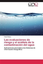 Fabio Peluso - Las evaluaciones de riesgo y el análisis de la contaminación del agua