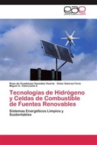Rosa de Guadalup González Huerta, Rosa de Guadalupe González Huerta, Solorza Feria, Omar Solorza Feria, Miguel A. Valenzuela Z. - Tecnologías de Hidrógeno y Celdas de Combustible de Fuentes Renovables
