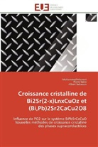 Mohamme Mansori, Mohammed Mansori, Pierr Satre, Pierre Satre, Albert Sebaoun - Croissance cristalline de bi2sr 2