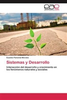 Eusebio Painemal Morales - Sistemas y Desarrollo