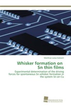 Matthias Lukas Sobiech - Whisker formation on Sn thin films