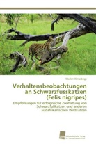Marlen Almasbegy - Verhaltensbeobachtungen an Schwarzfusskatzen (Felis nigripes)