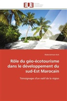 Abderrahman Kich, Kich-A - Role du geo ecotourisme dans le