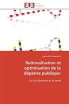 Hamid Ait Lemqeddem, Lemqeddem-H - Rationalisation et optimisation