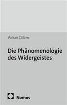 Volkan Cidam, Volkan Çidam - Die Phänomenologie des Widergeistes