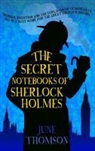 June Thomson - Secret Notebooks of Sherlock Holmes