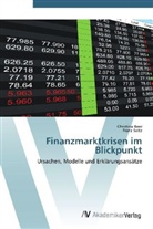 Christin Beer, Christina Beer, Franz Seitz - Finanzmarktkrisen im Blickpunkt