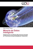 Pablo Ezequiel Felgaer - Minería de Datos Inteligente