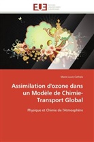 Marie-Laure Cathala, Cathala-m - Assimilation d ozone dans un