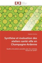 Stéphane Sanchez, Sanchez-s - Synthese et evaluation des