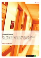 Marco Wegener - Die Pflegeübergabe im Akutkrankenhaus