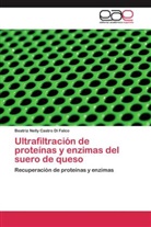 Beatriz Nelly Castro Di Falco - Ultrafiltración de proteínas y enzimas del suero de queso