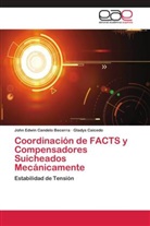 Gladys Caicedo, John Edwi Candelo Becerra, John Edwin Candelo Becerra - Coordinación de FACTS y Compensadores Suicheados Mecánicamente