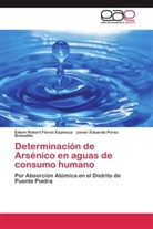 Edwin Rober Flores Espinoza, Edwin Robert Flores Espinoza, Jav Perez Bobadilla, Javier Eduardo Perez Bobadilla - Determinación de Arsénico en aguas de consumo humano