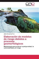 Jaime Bonachea Pico - Elaboración de modelos de riesgo debidos a procesos geomorfológicos