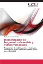 María T. Florez Molina, María Teresa Florez Molina - Meteorización de fragmentos de matriz y vidrios volcánicos
