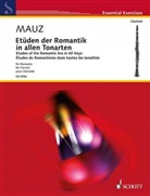 Rudolf Mauz - Etüden der Romantik in allen Tonarten