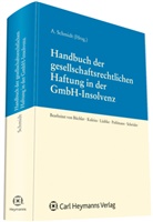 Andreas Schmidt, Andrea Schmidt, Andreas Schmidt - Handbuch der gesellschaftsrechtlichen Haftung in der GmbH-Insolvenz