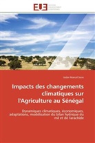 Isidor Marcel Sene, Sene-i - Impacts des changements