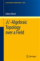 Fabien Morel - A1-Algebraic Topology over a Field