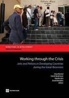 David Locke Newhouse, World Bank, Arup Banerji, David Locke Newhouse, Pierella Paci, David A. Robalino - Labor Markets in Developing Countries During the Great Recession
