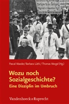 Barbar Lüthi, Barbara Lüthi, Pascal Maeder, Thomas Mergel - Wozu noch Sozialgeschichte?