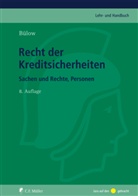 Peter Bülow - Recht der Kreditsicherheiten