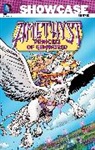 Gary Cohn, Dan Mishkin, VARIOUS, Robin Wildman - Showcase Presents: Amethyst, Princess of Gemworld Vol. 1