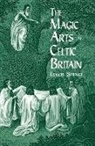 Hal Spence Holbrook, Spence, Lewis Spence - The Magic Arts in Celtic Britain