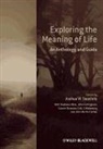 John Cottingham, John G. Cottingham, John Martin Fischer, Thaddeus Metz, Thaddeus Cottingham Metz, METZ THADDEUS COTTINGHAM JOHN G... - Exploring the Meaning of Life