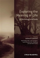 John Cottingham, John G Cottingham, John G. Cottingham, John Martin Fischer, Thaddeu Metz, Thaddeus Metz... - Exploring the Meaning of Life