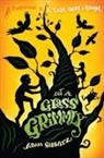 Hugh D'Andrade, Adam Gidwitz, Hugh D'Andrade - In a Glass Grimmly