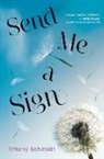 Schmidt, Tiffany Schmidt - Send Me a Sign