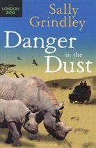 Grindley, Sally Grindley - Danger in the Dust