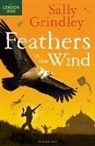 Grindley, Sally Grindley - Feathers in the Wind