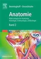 Esther (Prof. Dr.) Asan, Benninghof, Benninghoff, Alfred Benninghoff, Di Berens von Rautenfeld, Drenckhahn... - Anatomie - 2: Herz-Kreislauf-System, Lymphatisches System, Endokrine Drüsen, Nervensystem, Sinnesorgane, Haut