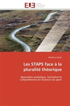 Matthieu Quidu, Quidu-M - Les staps face a la pluralite