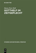 Hanns P. Holl, Hanns Peter Holl - Gotthelf im Zeitgeflecht