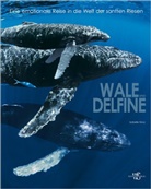 Isabelle Groc - Wale und Delfine