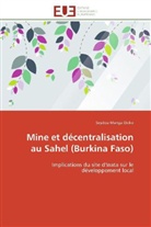 Seydou Manga Dicko, Dicko-S - Mine et decentralisation au sahel