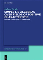 Helmut Strade - Helmut Strade: Simple Lie Algebras over Fields of Positive Characteristic - Volume III: Completion of the Classification. Vol.III