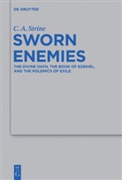 C A Strine, C. A. Strine, Casey A. Strine - Sworn Enemies